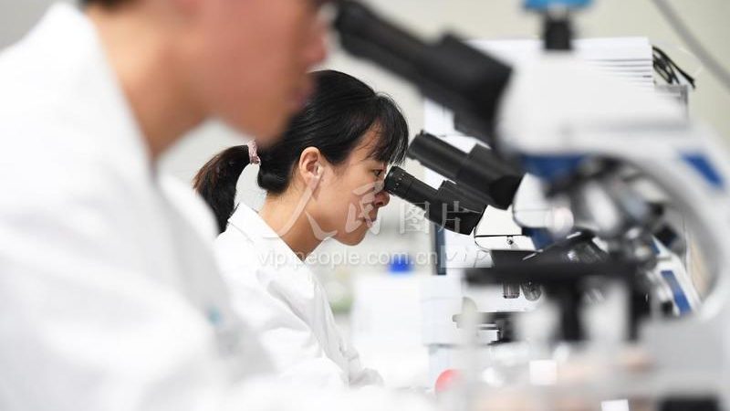 生物创新药CDMO生产厂家：揭秘其背后的技术支撑与行业趋势