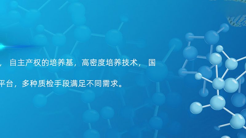 CDMO细分领域：创新药研发的关键合作伙伴
