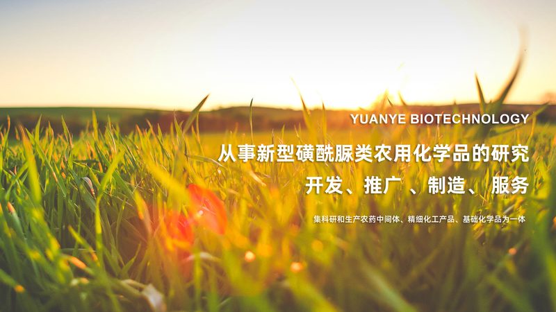 科研离心管，如何选择更适合你的那一款？**