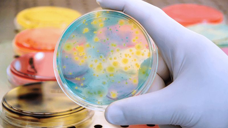 生物医药外包质量控制标准：制定依据与关键要素**