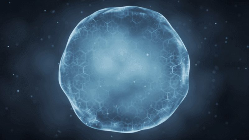 定制服务周期，生物科技研发的“时间密码”**