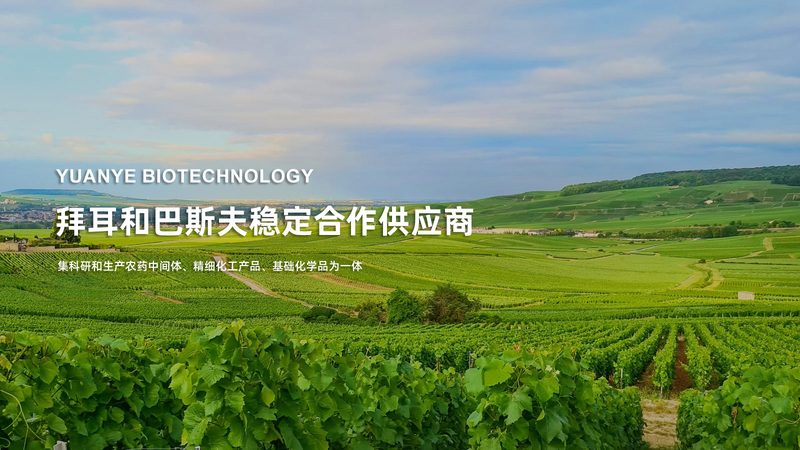 CRS与A/B测试：揭秘常见误区，助力精准决策